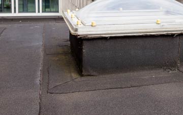 disadvantages of Gabhsann Bho Dheas flat roofs