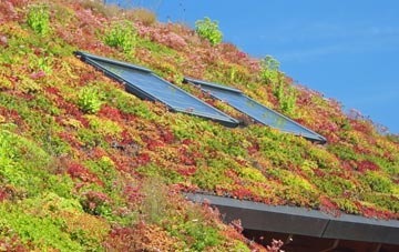 Gabhsann Bho Dheas living roof systems