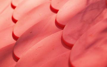 Gabhsann Bho Dheas plastic roof costs