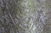 Gabhsann Bho Dheas fibreglass roof work